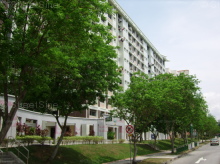 Blk 450A Tampines Street 42 (S)521450 #106232